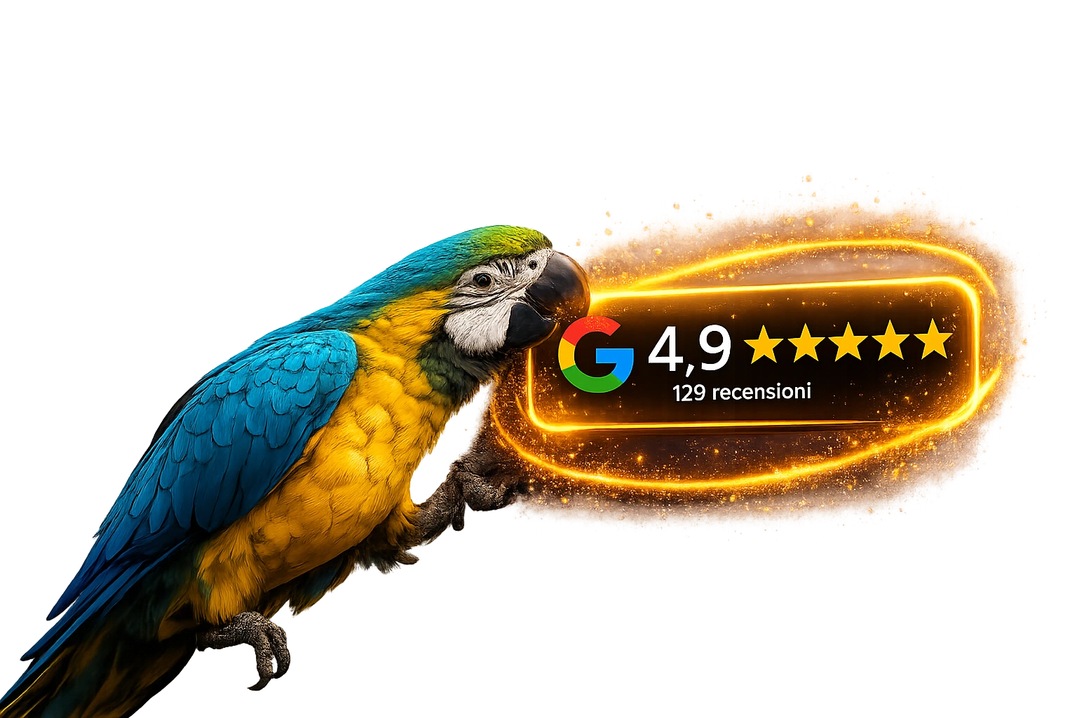 Recensioni