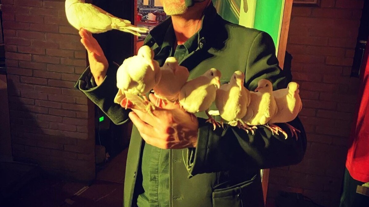 Guglielmo Wilson a fine serata con sei colombe bianche sulle mani