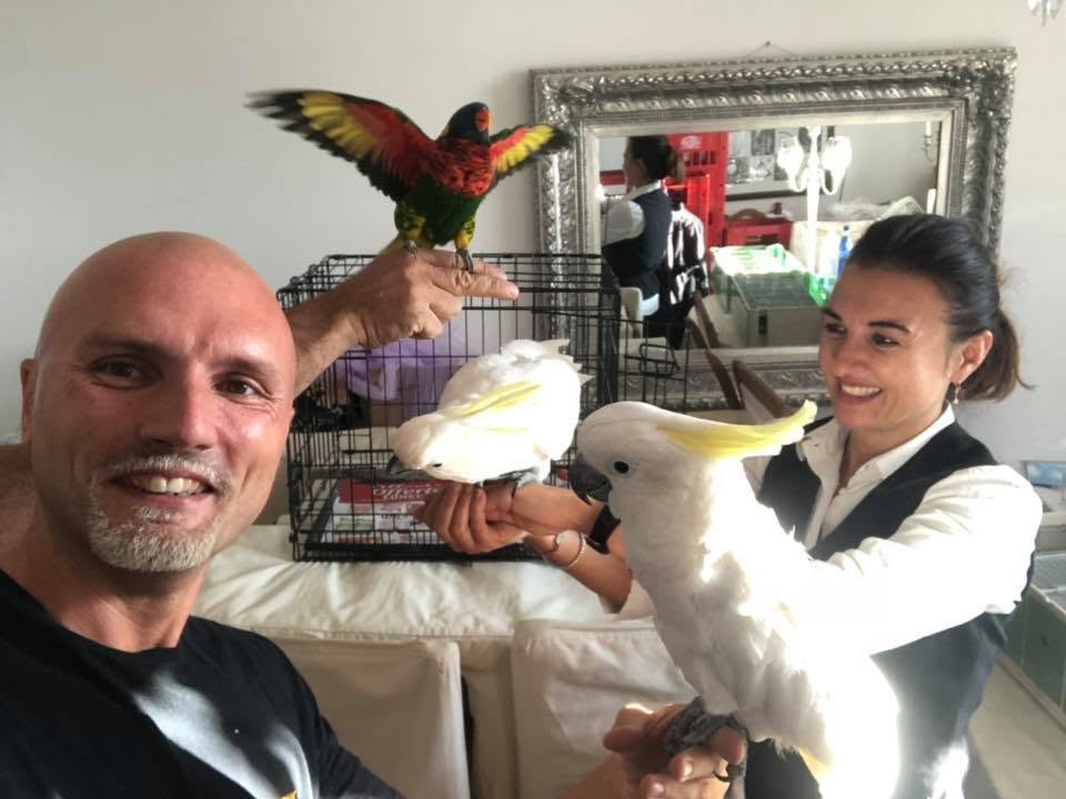 Guglielmo Wilson oggi con uccelli da spettacolo